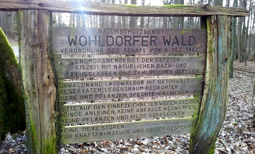 Bild 54