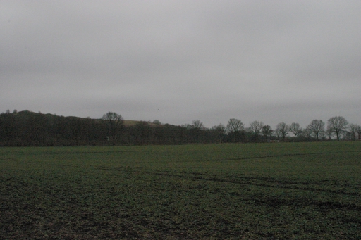 Bild 17