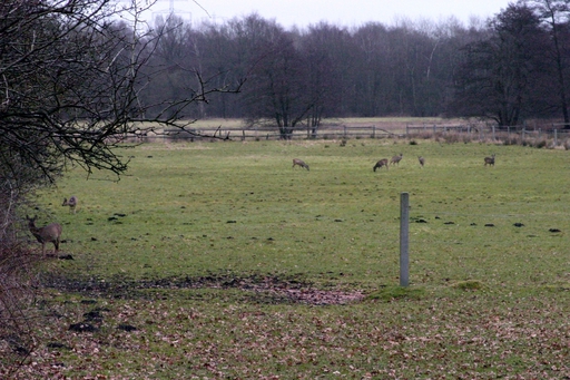Bild 22