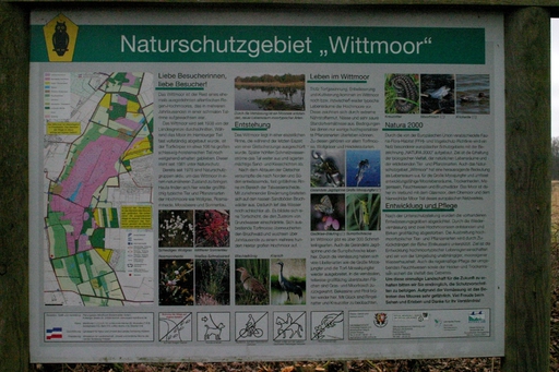Bild 29