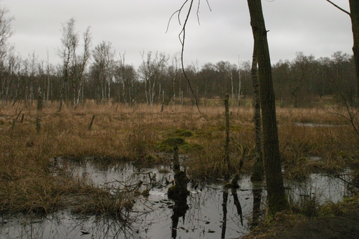 Bild 32