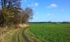 vorheriges Bild vorheriges Bild