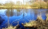 Bild 52