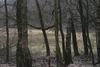 Bild 31