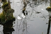 Bild 33