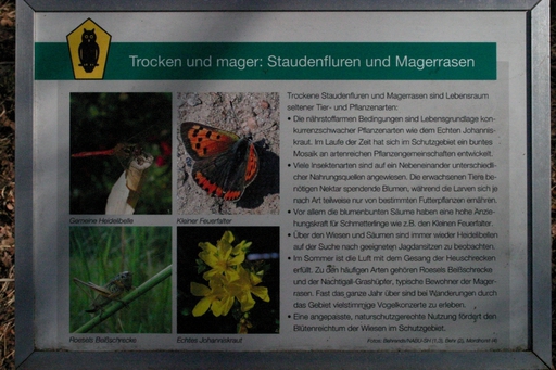 Bild 26