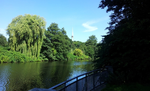 Bild 13