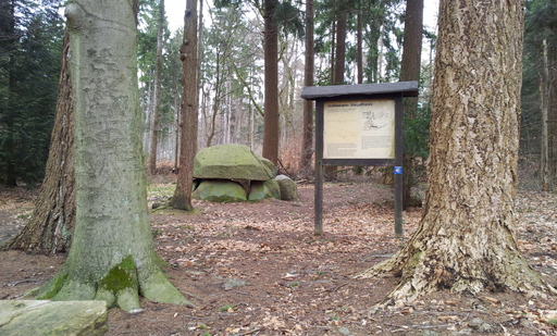 Bild 66