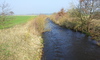 vorheriges Bild
