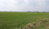 vorheriges Bild