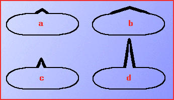 figure1
