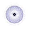 Bild 53