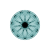 Bild 76